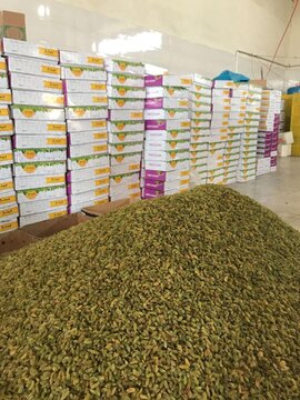 اولین انبار پذیرش شده کشمش در بورس کالا