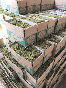 اطلاعیه بورس کالا در خصوص لزوم ترخیص کالای موجود در انبار کشمش خلیل آباد