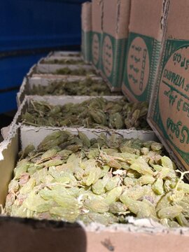 اولین انبار پذیرش شده کشمش در بورس کالا