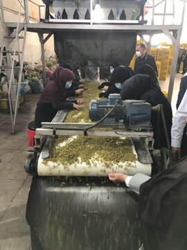 اولین انبار پذیرش شده کشمش در بورس کالا