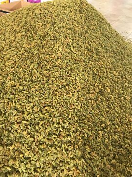 اولین انبار پذیرش شده کشمش در بورس کالا