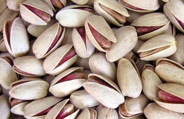 راه اندازی قرارداد آتی پسته تحویل مهر ۱۴۰۰