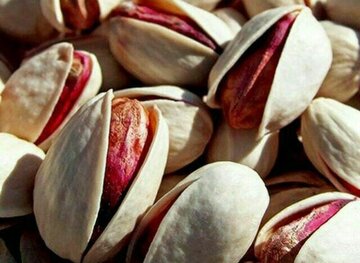 پسته را برای تحویل خرداد ۱۴۰۰ معامله کنید