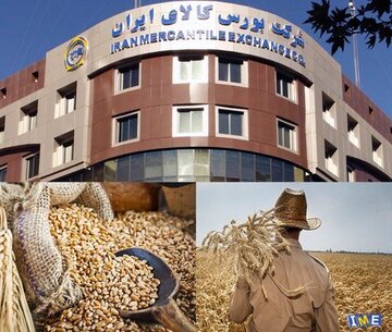 ۴ مزیت عرضه محصولات کشاورزی در بورس کالا