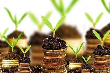 معاملات صندوق‌ها از ۵۰۰ میلیون واحد صندوق عبور کرد