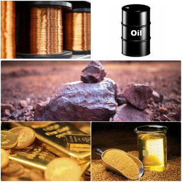 کامودیتی‌های پرتقاضا در سال ۲۰۲۱ را بشناسیم