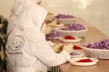 جهش تولید در بخش کشاورزی با افزایش انبارهای بورسی