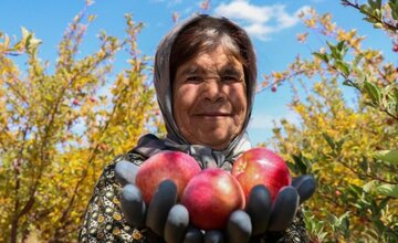 حمایت از کشاورزان آذربایجان غربی با عرضه محصولاتشان در بورس کالا