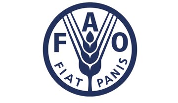 قیمت جهانی غذا در بالاترین سطح ۶ سال گذشته