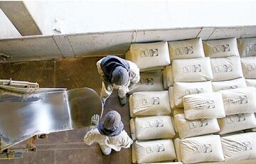 سیمان در تابلو بورس کالا: از کاهش قیمت تا حذف رانت