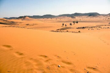 سودان تاسیس بورس طلا، موادمعدنی و کالاهای کشاورزی را تصویب کرد