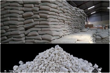 مبادلات «کائولن» در مسیر شفافیت و پایان انحصار فروش/
بورس کالا مرجع قیمت داخلی و صادراتی سیمان می شود