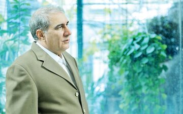 فولاد و سیمان دستوری علیه ۵۰ میلیون سهامدار عدالت است