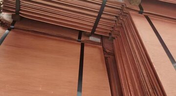 افزایش ۳.۳ درصدی تولید کنسانتره مس در جهان