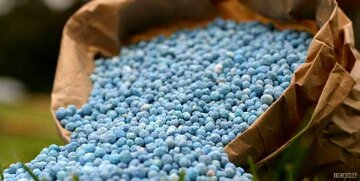 قیمت کود شیمیایی در بالاترین سطح تاریخی