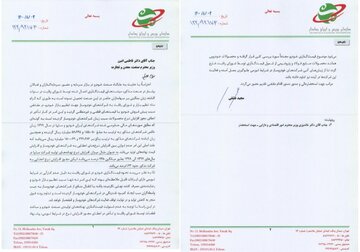 قیمت گذاری دستوری خودرو را حذف کنید