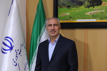 مهار شدن افزایش نرخ سوخت صنایع بزرگ