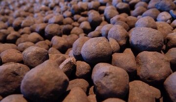 تولید ۴۶.۸ میلیون تن گندله توسط شرکت های بزرگ