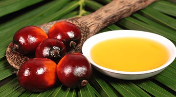 جایگزینی برای روغن پالم اندونزی نیست