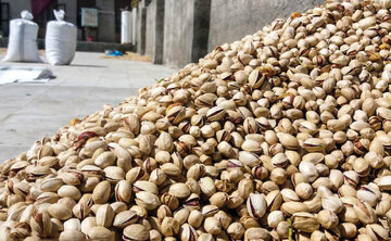 تاریخ انقضای اعتبار گواهی سپرده پسته اعلام شد