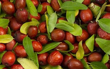 دورنمای مطلوب بازار عناب با عرضه در بورس کالا