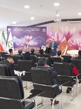 مشخصات ظاهری زعفران نگین تحویلی به انبارهای بورسی تعیین شد