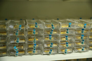 امکان استفاده از استراتژی کاورد کال برای صندوق های سرمایه گذاری سهامی و کالایی