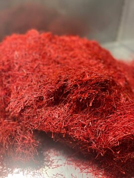 زعفران سحرخیز