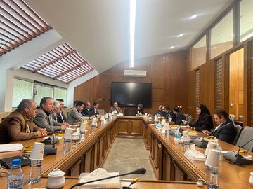 زعفران سحرخیز