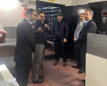 زعفران سحرخیز