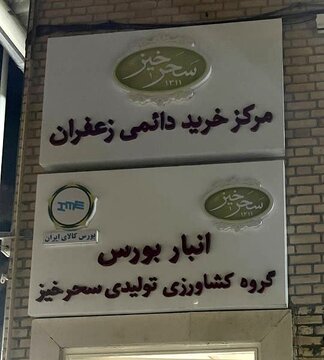 زعفران سحرخیز