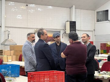 زعفران سحرخیز