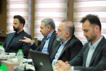 انجمن سنگ آهن