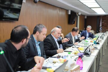 انجمن سنگ آهن