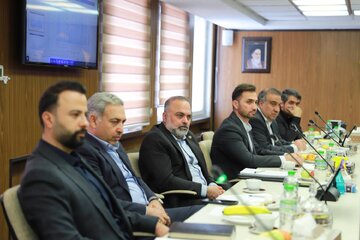 انجمن سنگ آهن