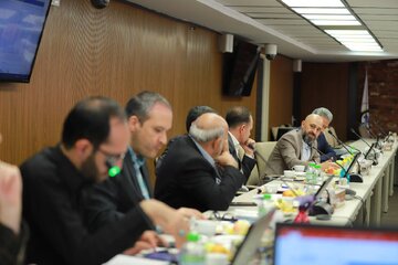 انجمن سنگ آهن