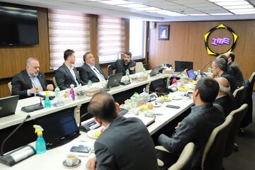 انجمن سنگ آهن