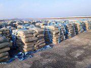 چند تن سیمان امروز در بورس کالا عرضه می شود؟