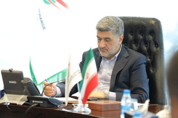 انتقاد رئیس سازمان بورس از تداوم قیمت‌گذاری دستوری