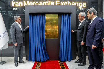 گزارش تصویری