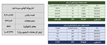 معامله ۶۶۷ کیلوگرم شمش نقره در بورس کالا