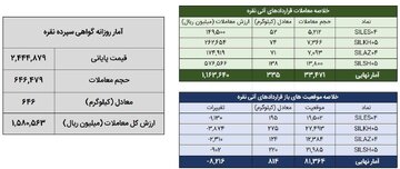 معامله ۹۸۱ کیلوگرم شمش نقره در بورس کالا